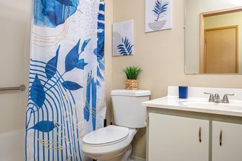 Security grab bars in bathroom
